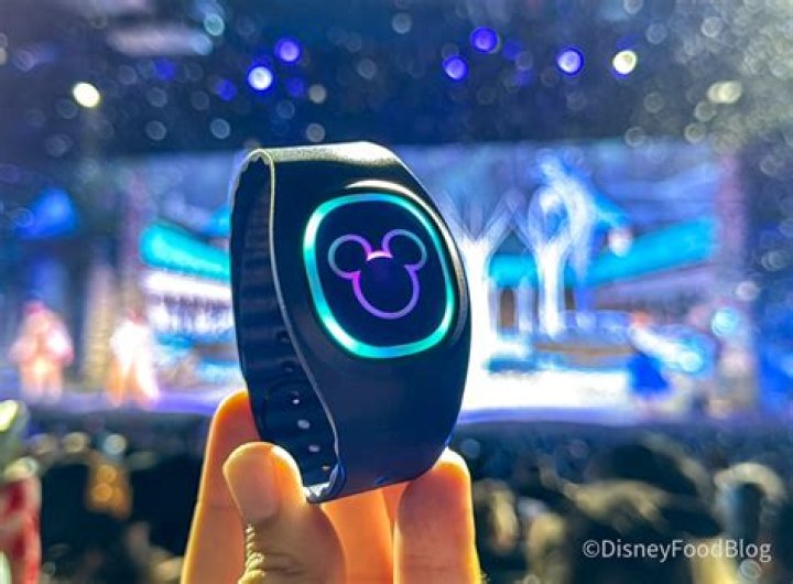 How much do Disney wristbands cost?
