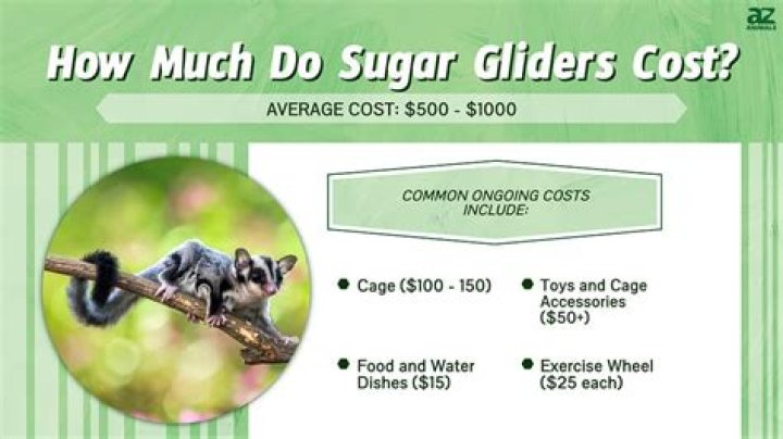 How much do Dutailier gliders cost?