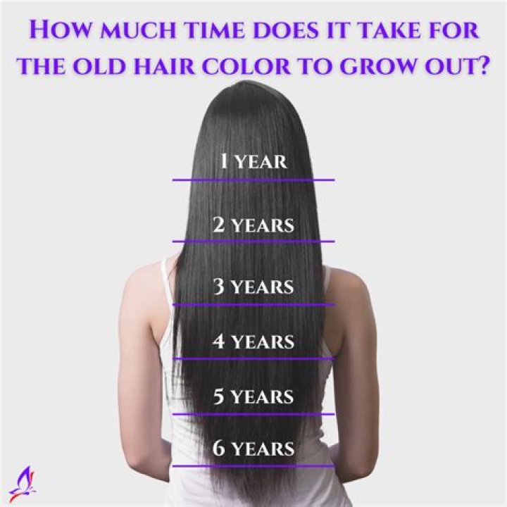 How much do hair colorists get paid?