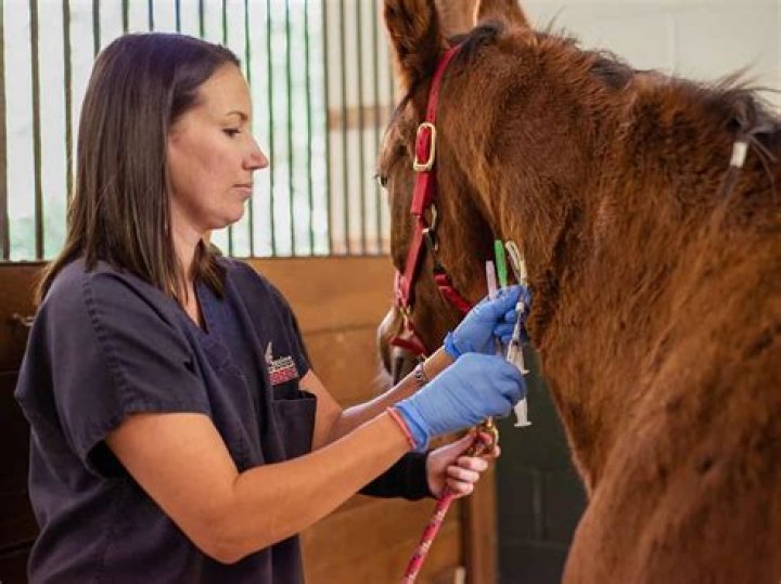 How much do horse breeding managers make?