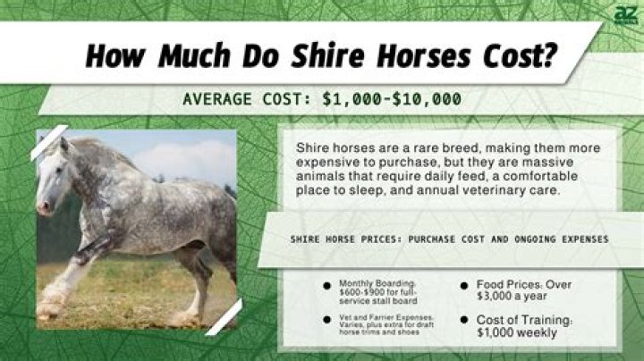 How much do horse racers get paid?