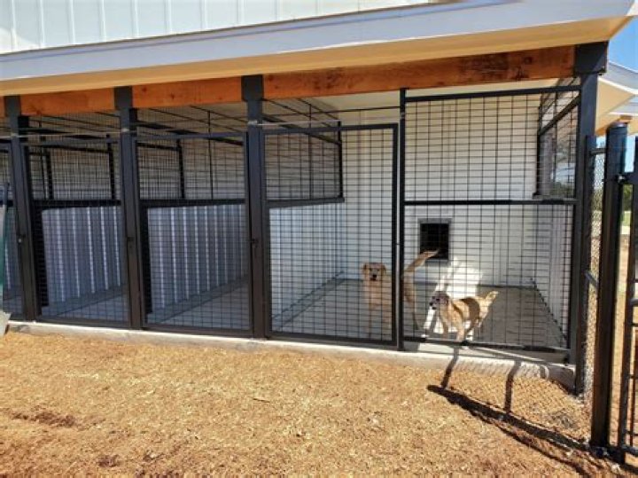 How much do Kennels charge per day UK?