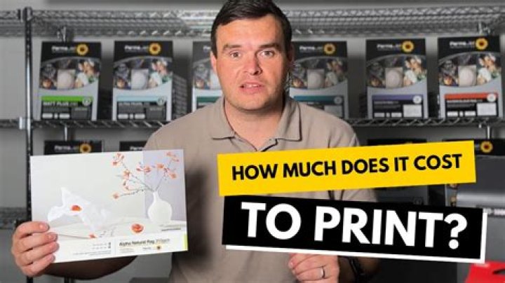 How much do paper runs get paid NZ?