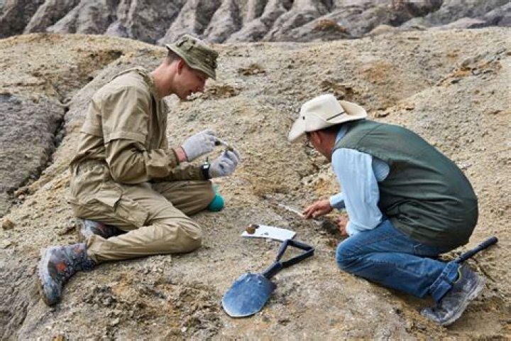 How much do prehistoric archaeologists make?
