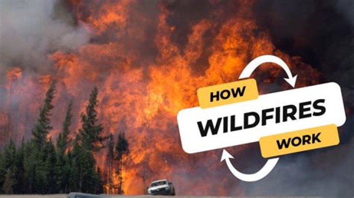 How much do wildfire hotshots make?