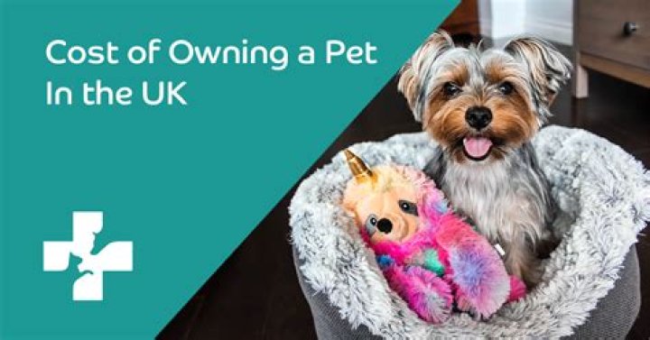 How much do you make owning a pet store?