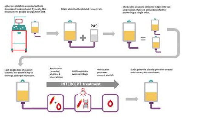How much does 1 unit of apheresis platelets increase platelet count?