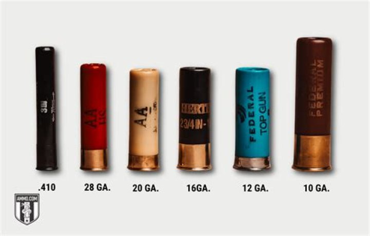 How much does a 4/10 shot gun cost?