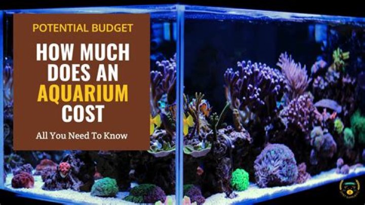 How much does a 5000 gallon aquarium cost?