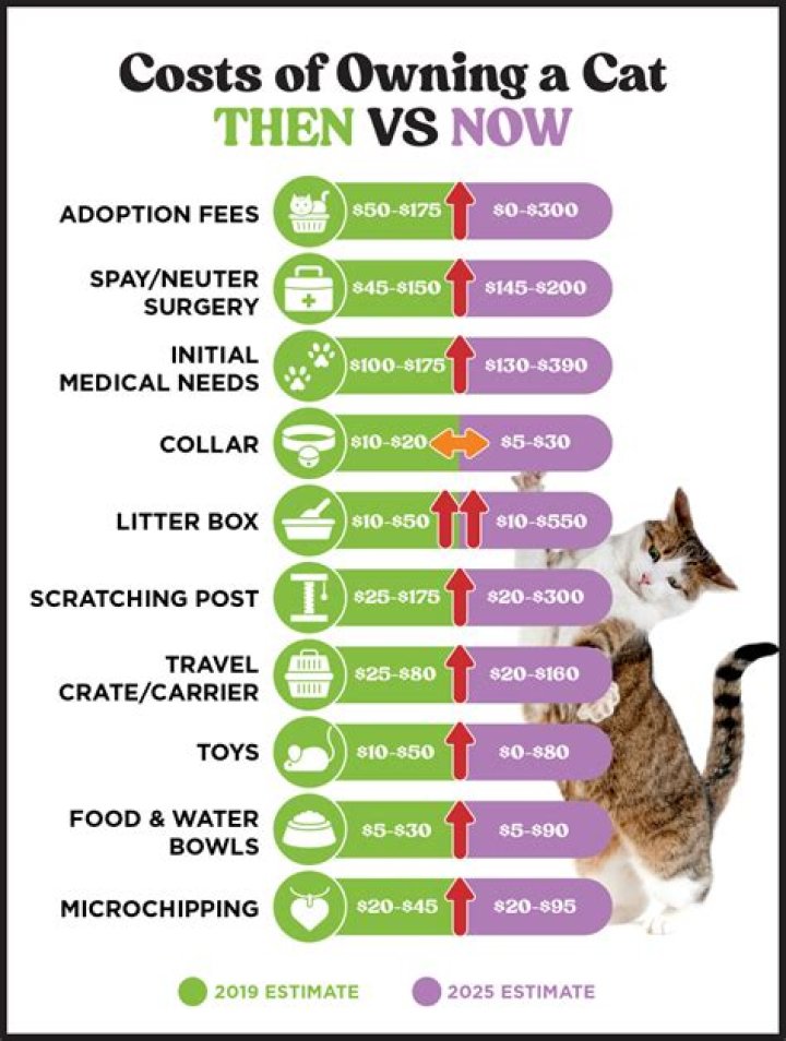 How much does a cat behaviorist cost?