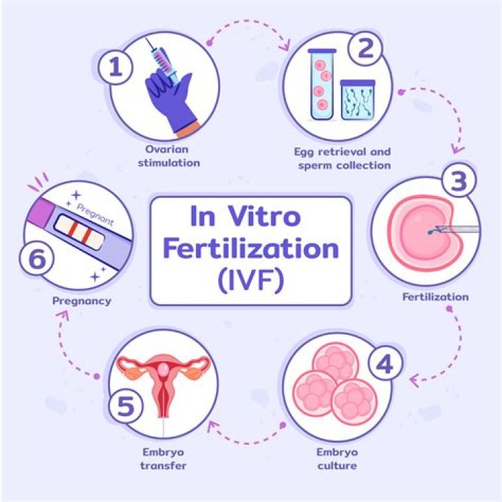 How much does a full cycle of IVF cost?