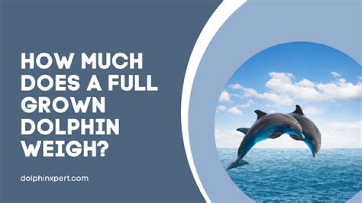How much does a full grown sloth weigh?