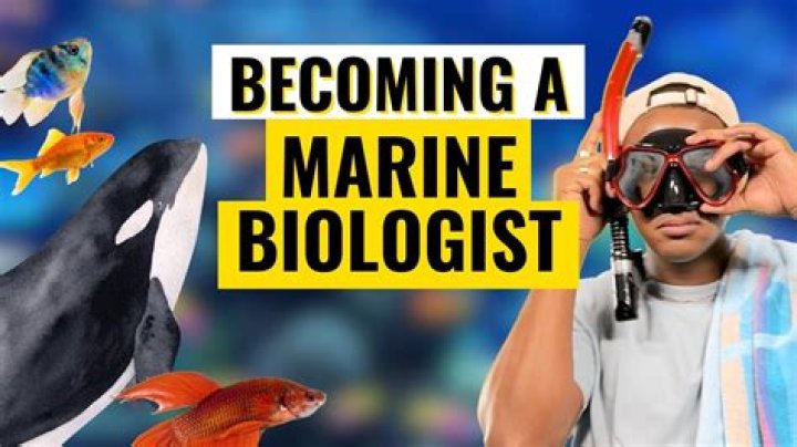 How much does a marine biologist earn a year?