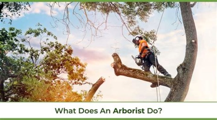 How much does an arborist make in BC?