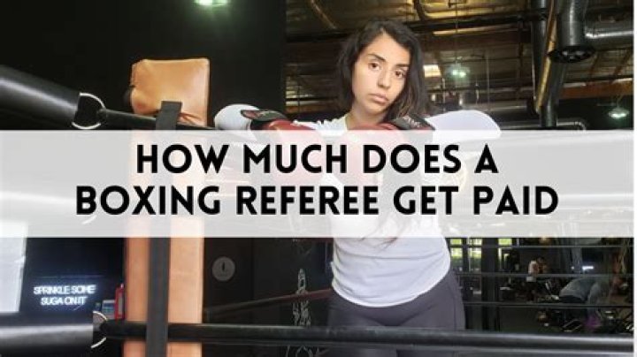 How much does an international referee get paid?
