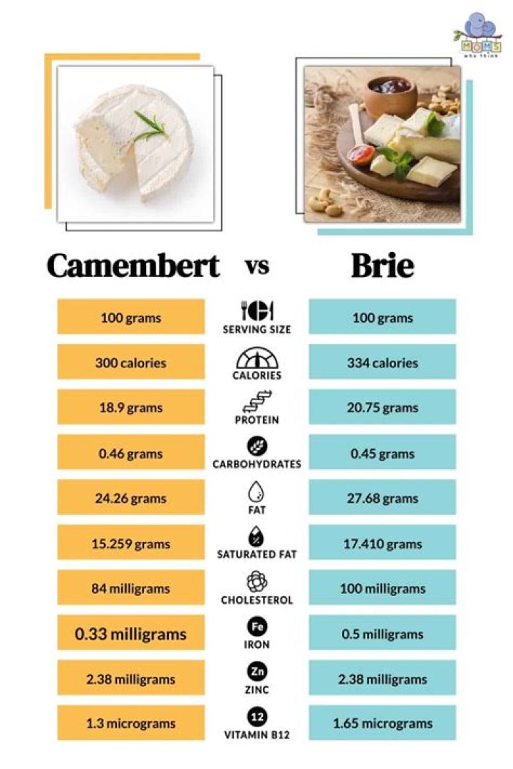 How much does Brie Bella make?
