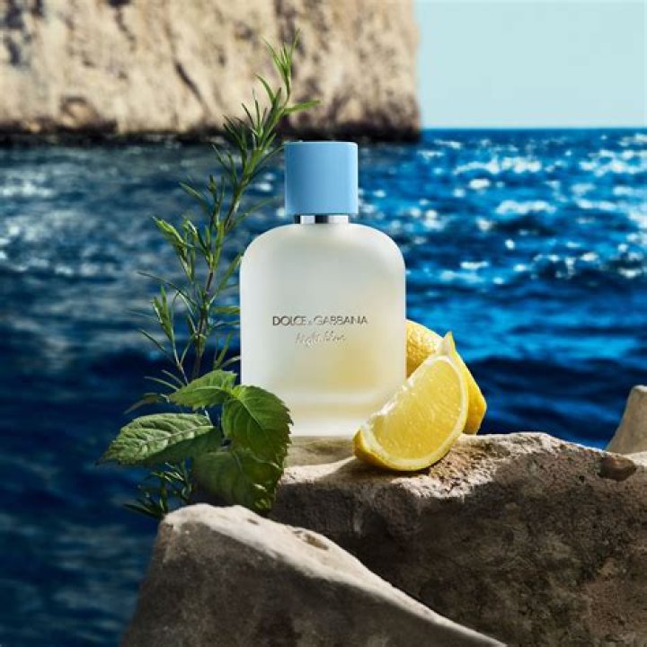 How much does Dolce and Gabbana perfume cost?