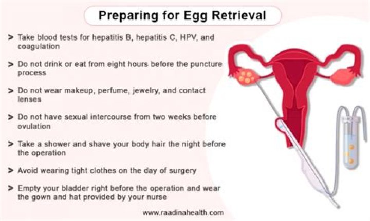 How much does egg retrieval surgery cost?