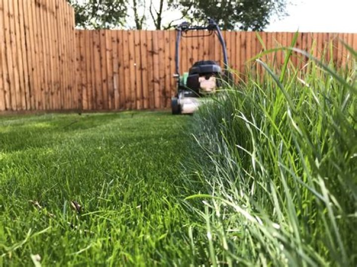How much does it cost to cut grass in Florida?