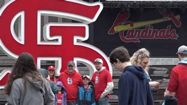 How much does it cost to go to a St Louis Cardinals game?