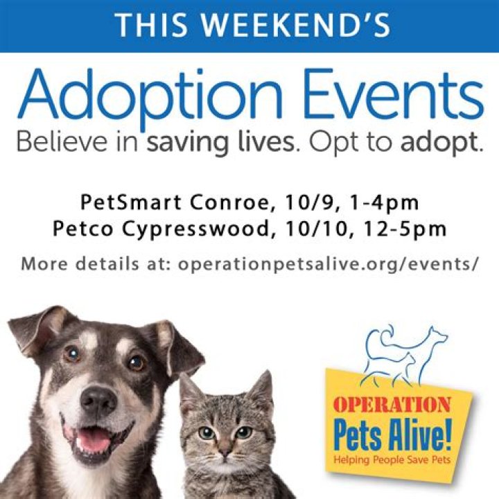 How much does it cost to microchip a dog at PetSmart?