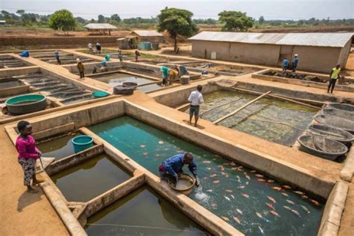 How much does it cost to start a fish farming business in Nigeria?