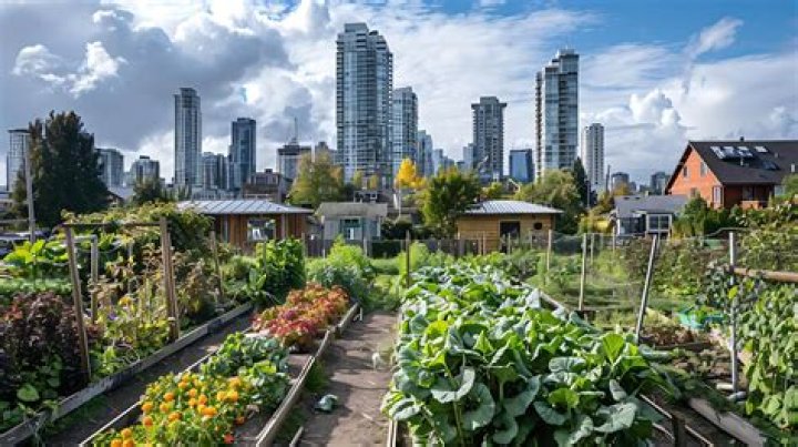 How much does it cost to start an urban farm?