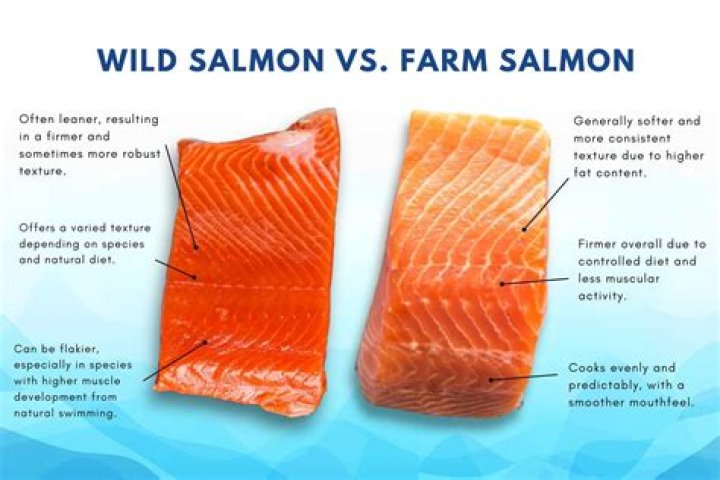 How much does salmon fillet cost?