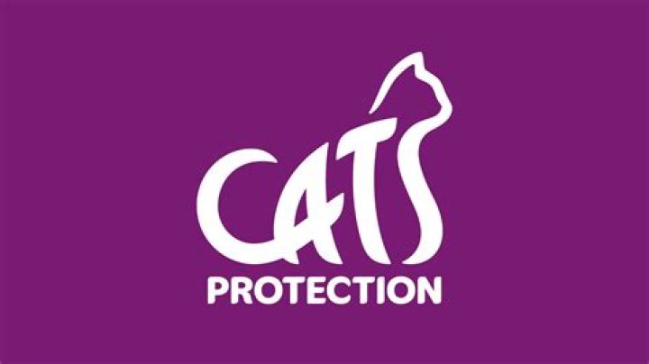 How much does the CEO of Cats Protection League earn?