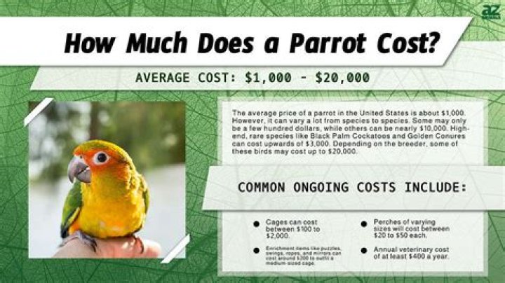 How much does Vocollect cost?