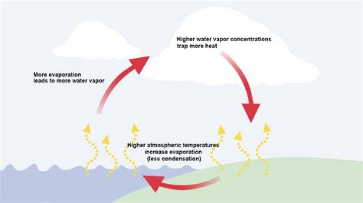 How much heat does water vapor trap in the atmosphere?
