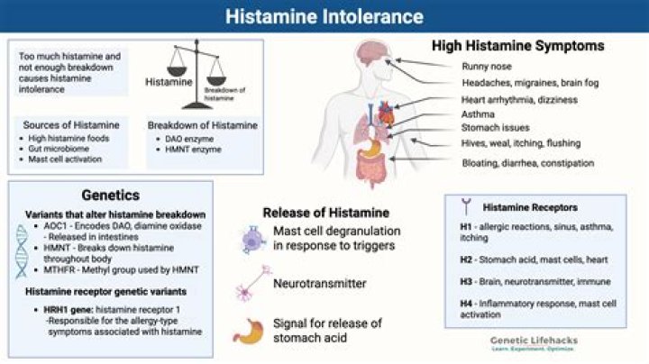 How much histamine is in chocolate?