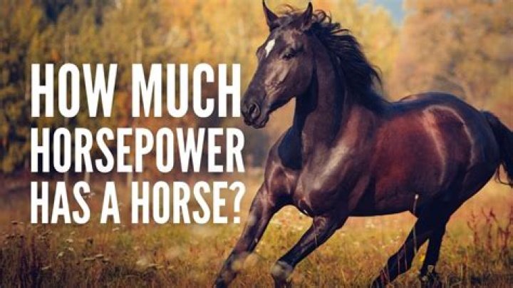 How much horsepower does Verna have?