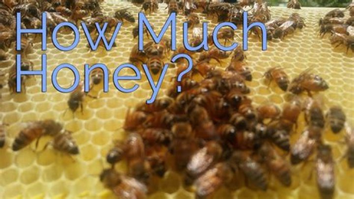 How much is 100g honey in ML?