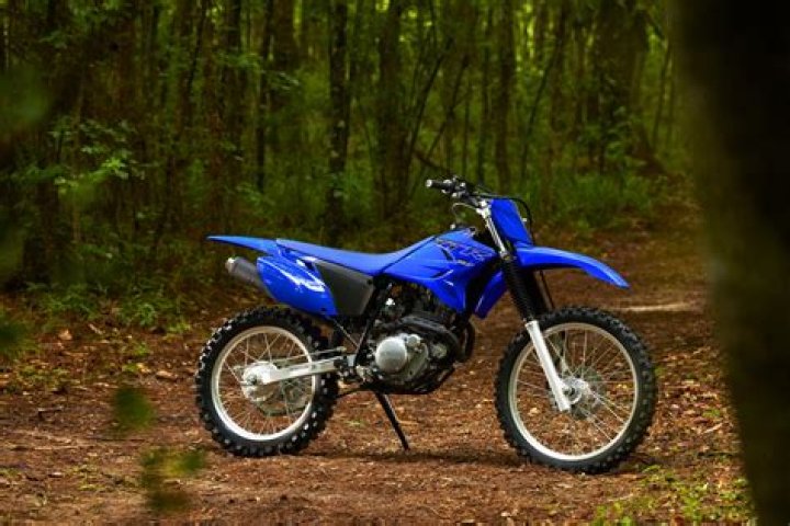 How much is a 2006 Yamaha TTR 125?