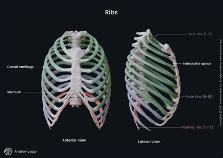How much is a rack of ribs at Rib Crib?