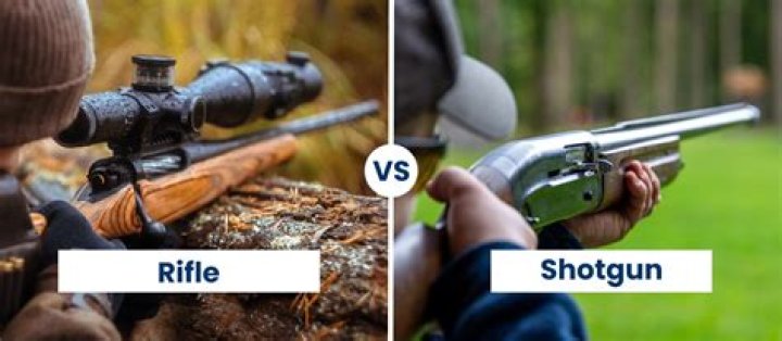 How much is a Savage 20 gauge slug gun?