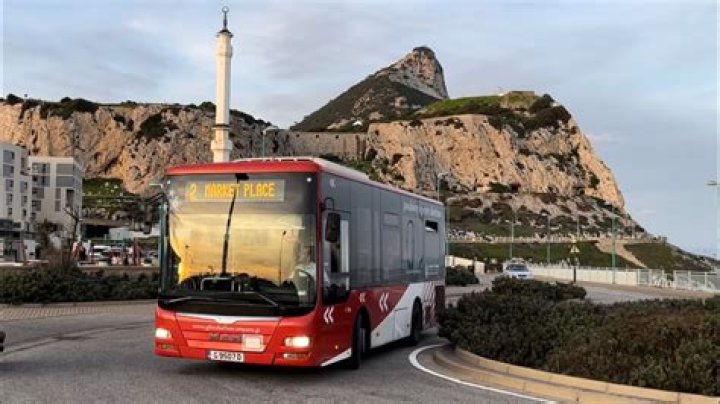 How much is bus from Malaga to Gibraltar?