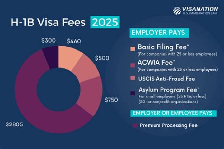How much is Cameroon visa fee?
