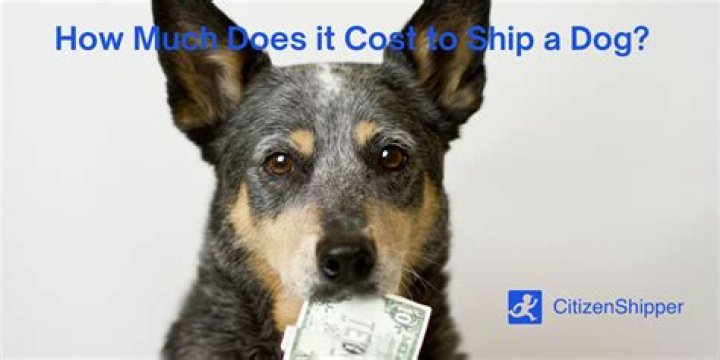How much is it to ship a dog from Hawaii?