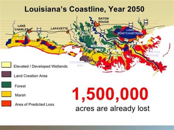 How much land has Louisiana lost?