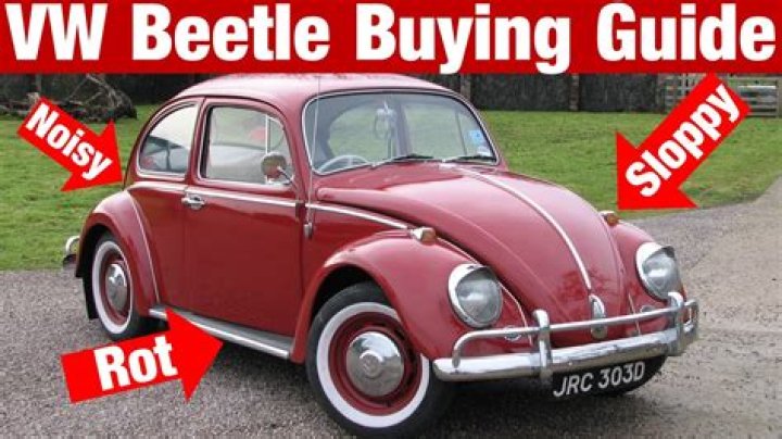 How much oil does a classic Beetle take?