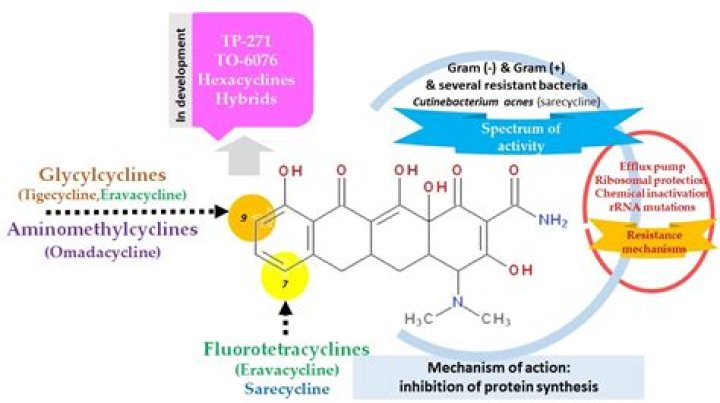 How much oxytetracycline do you give a cow?