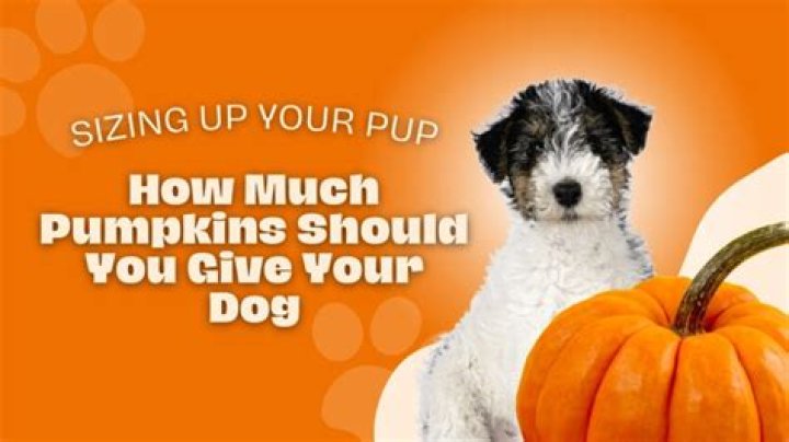 How much pumpkin do you give a dog for constipation?