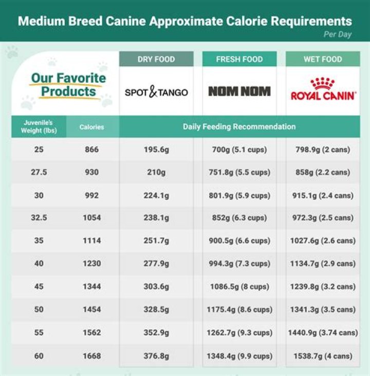 How much Royal Canin should I feed my dog?