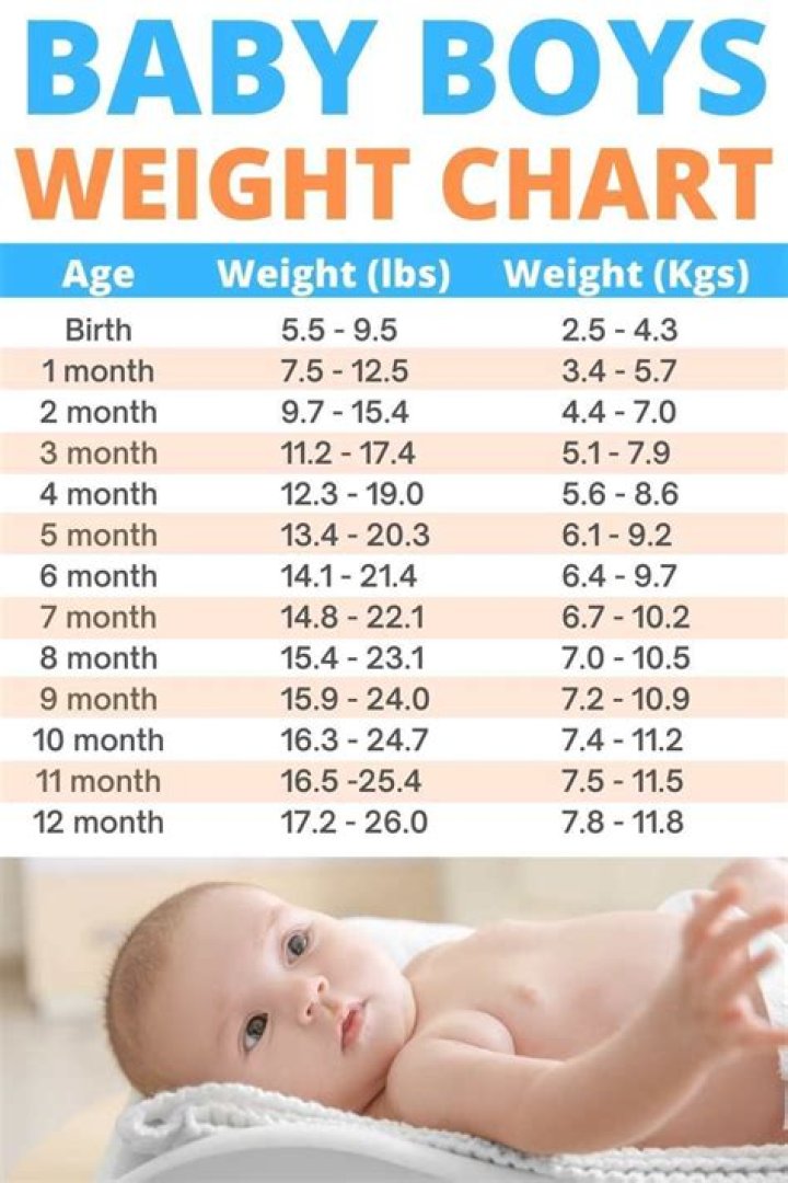 How much should 5 month boy weigh?