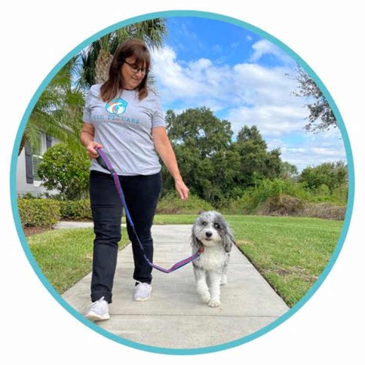 How much should a kid charge for dog walking?