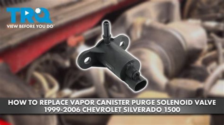 How much should a purge valve cost?