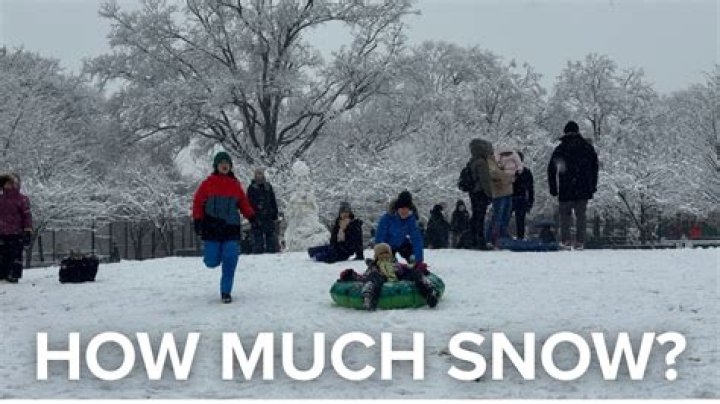 How much snow did Olean NY get?