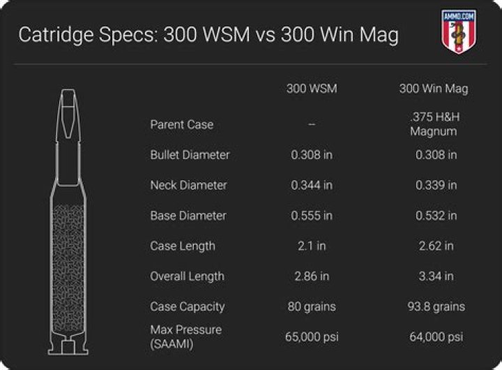 How much will a 300 win mag drop at 400 yards?